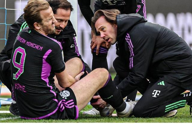 1710610947880026512.jpg kane.jpg